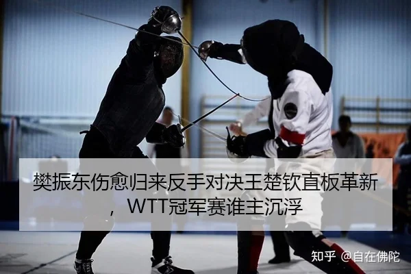 樊振东伤愈归来反手对决王楚钦直板革新，WTT冠军赛谁主沉浮